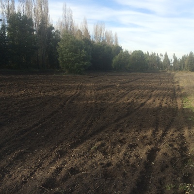 Nivelación terreno parcela