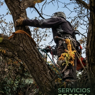 Servicio de Poda