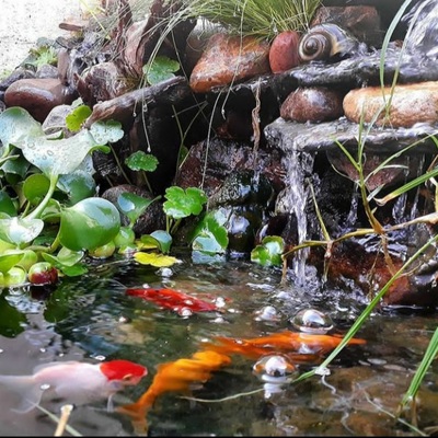 Cascada con estanque