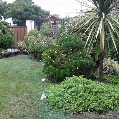 mantencion de jardin