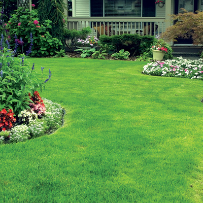 Tecnología a la medida.