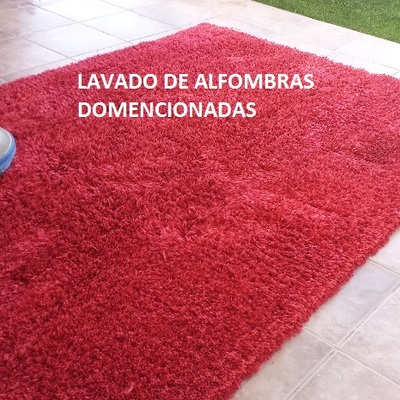 LAVADO DE ALFOMBRAS DIMENCIONADAS