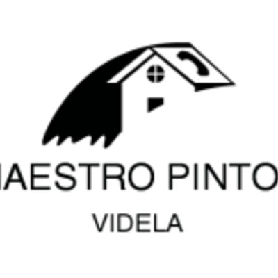 maetro pintor patricio videla
