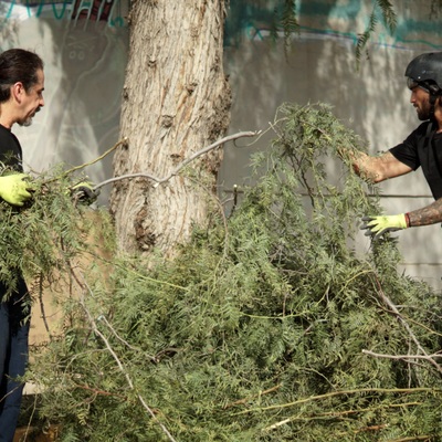 Acopio y retiro de material verde