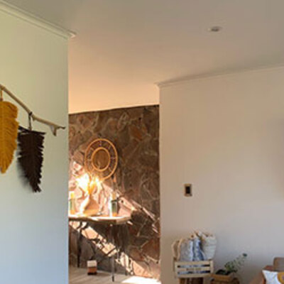 Terminación, pintura y decoración interiores