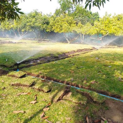 Riego en prado
