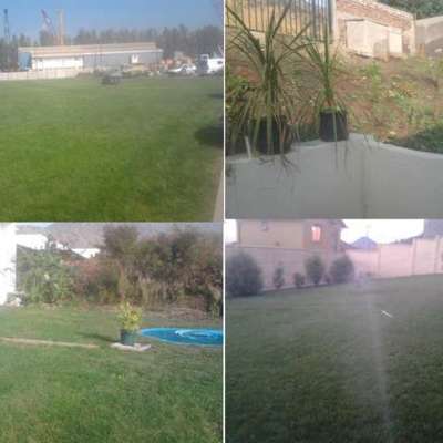 pasto y riego