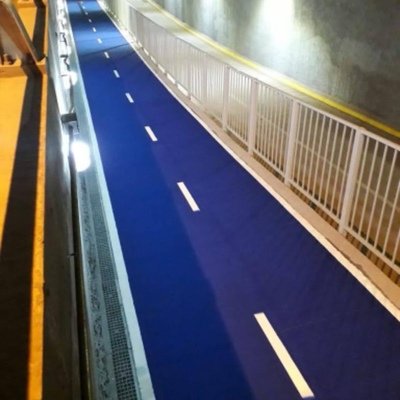 Ciclovia paso bajo nivel