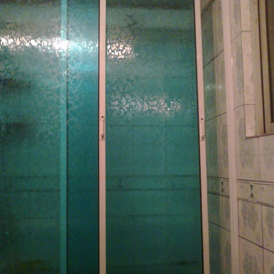 Shower Door