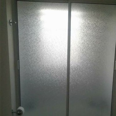 Shower door