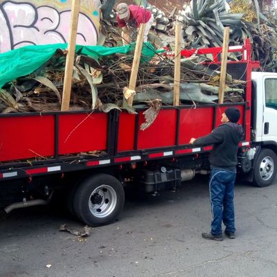 Limpieza de terreno y desmalezado