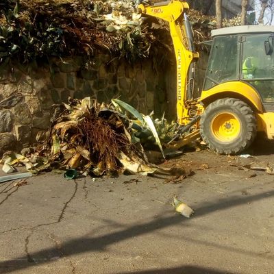 Limpieza de terreno y desmalezado
