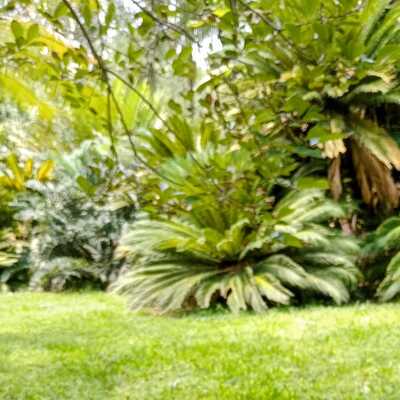 Mantencion de jardines y areas verdes