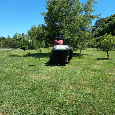 mantenimiento de cesped en parcelas