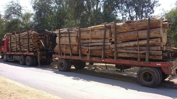 Camion 1