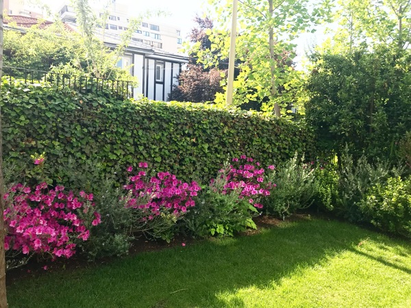 Jardín Las Condes