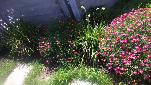 macizo lineal en entrada