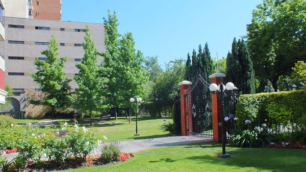 Foto: Mantención de Césped y Riego Automático de Paisajismo Ecoverde.cl