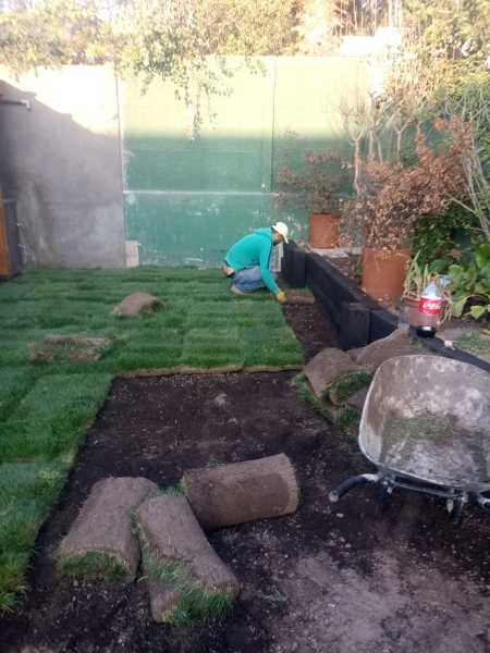 Instalación de pasto
