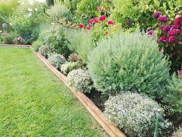 Macizos de plantas y flores