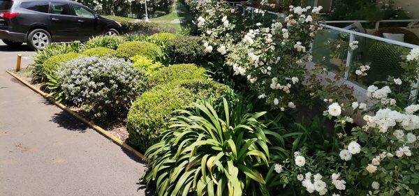 MANTENCIÓN DE JARDINES CONDOMINIOS