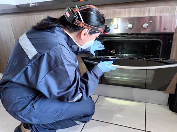 Inspección para control de roedores