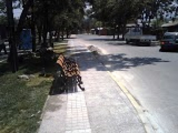Plaza Nido de Aguila