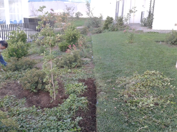 Recuperación de Jardín 