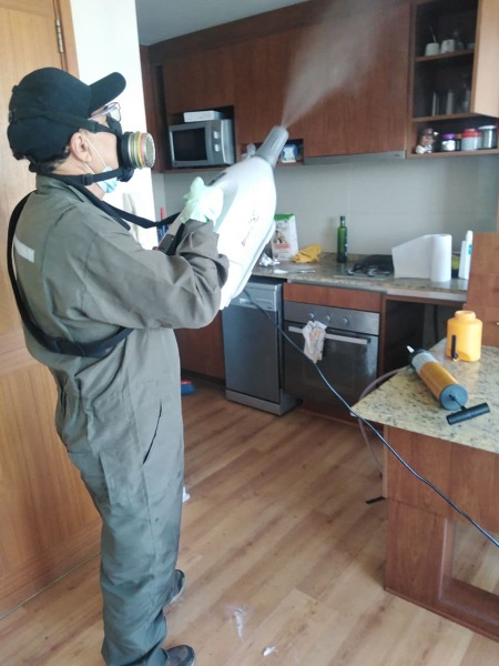 Desinfección/sanitización