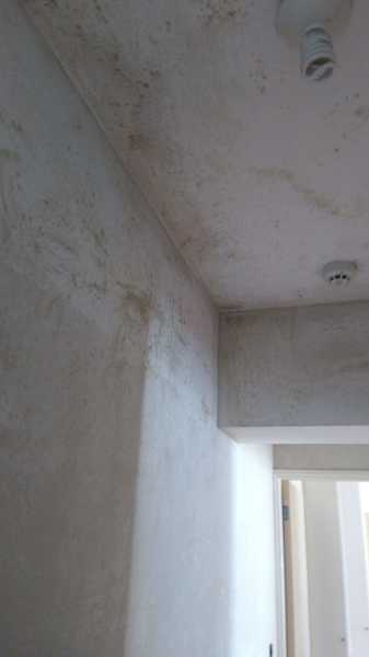 ANTES
