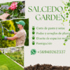 Gustavo Salcedo