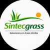 Sintecgrass