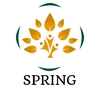 Spring Construcción