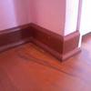 Reparacin pintura y guarda polvos
