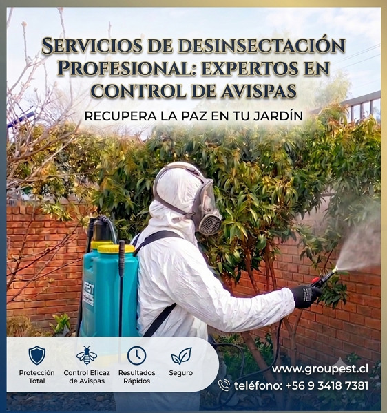Servicios de Desinsectación Profesional y Control de Avispas