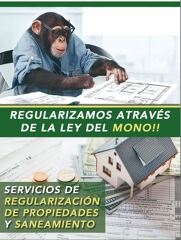 Regularización Ley del mono, Perisología.
