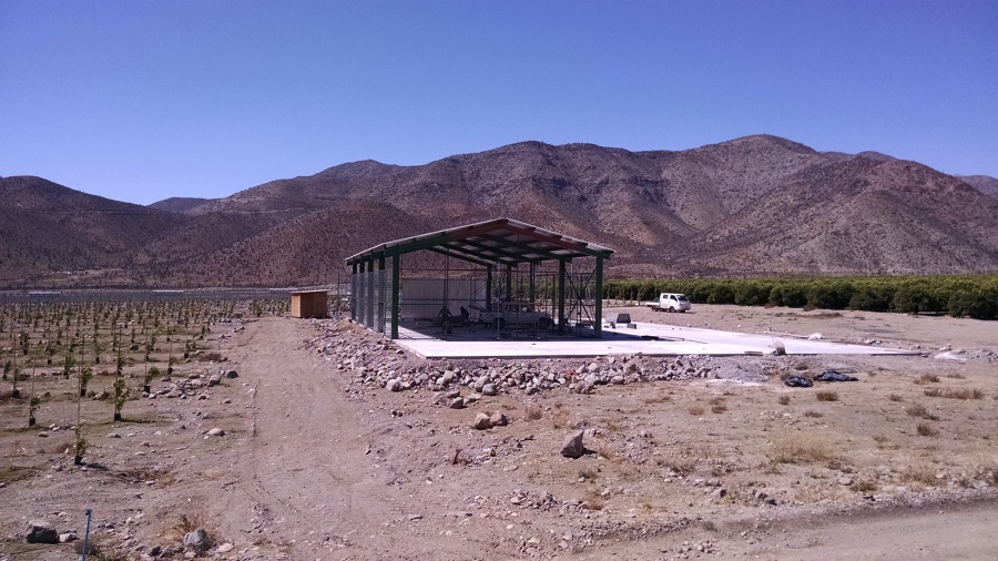 Agrícola Tambo Real