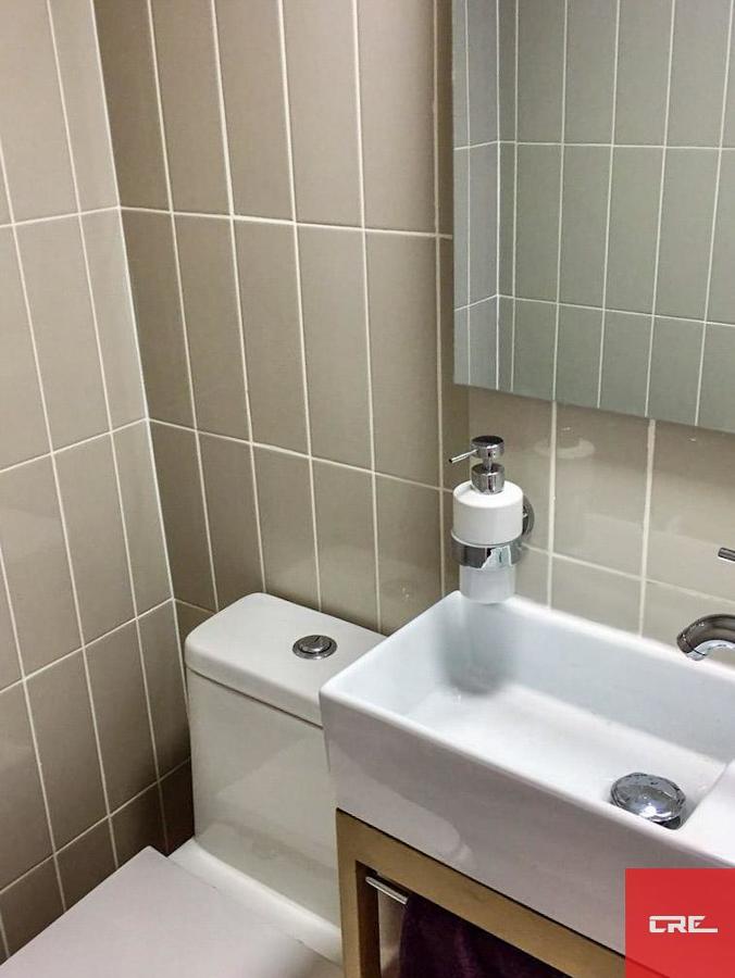 Baño de visita