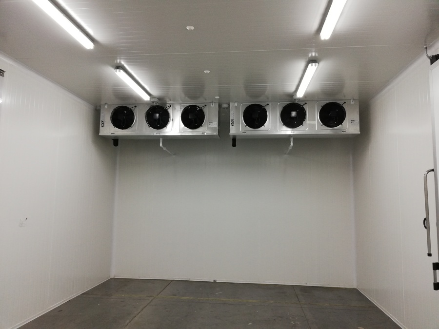 Cámara Frigorífica Mantención (Lampa)