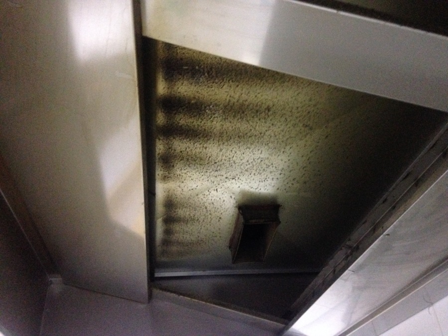 campana sucia internamente