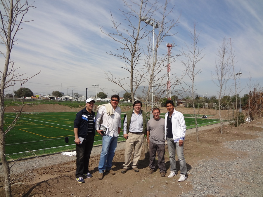 Canchas futbol-7, Rancagua