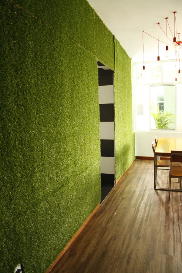 cesped artificial pared