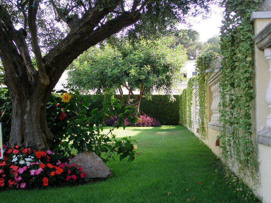 Guía Sencilla para Crear un Paraíso en Tu Jardín | Ideas Jardineros