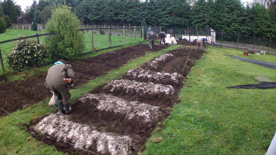 Creación de huertas Puerto Varas