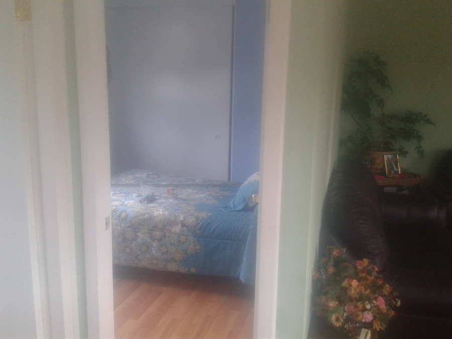 dormitorio livings