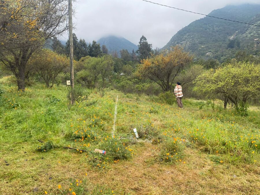 Escarpe y trazado del terreno