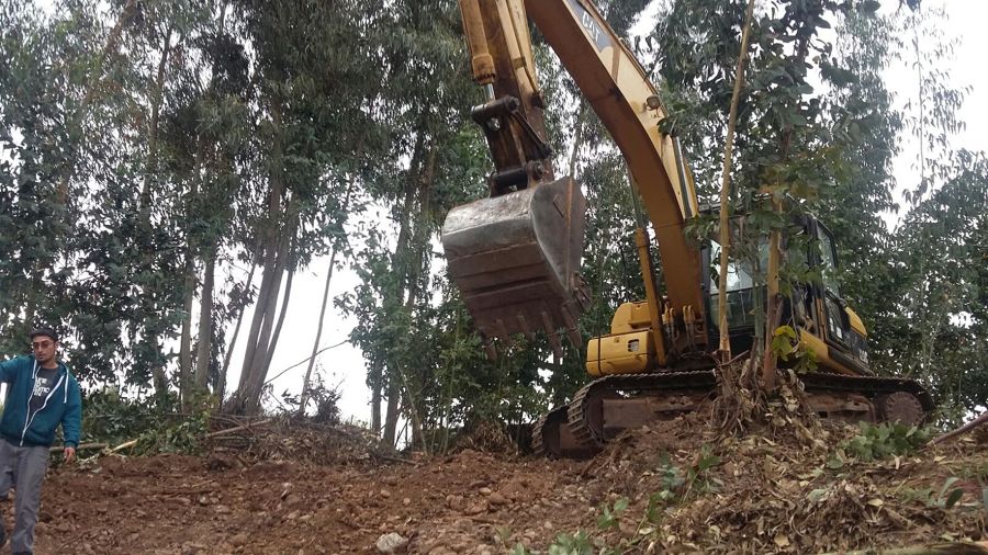 Haciendo Camino atraves del bosque.