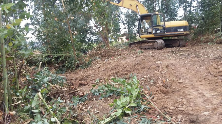 Haciendo Camino atraves del bosque.