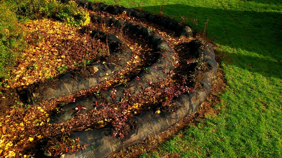 Huerto y jardín