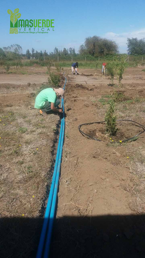 Instalación de Líneas de PVC para matriz
